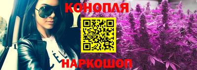 индика Ипатово
